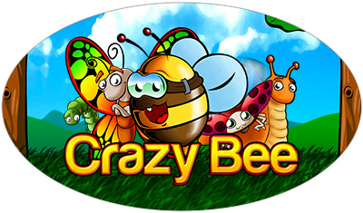Crazy Bee